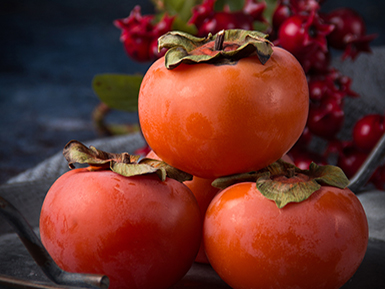 九游体育入口基地展示四